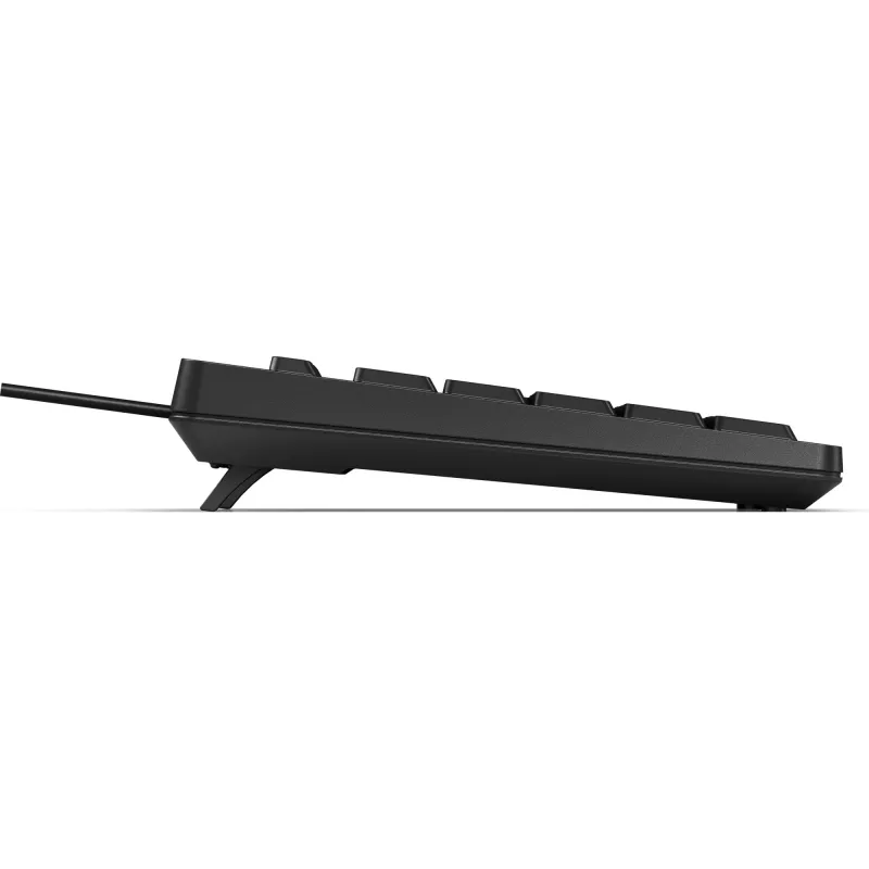 HP 125 vadu tastatūra, pilna izmēra, USB, membrānas, melna