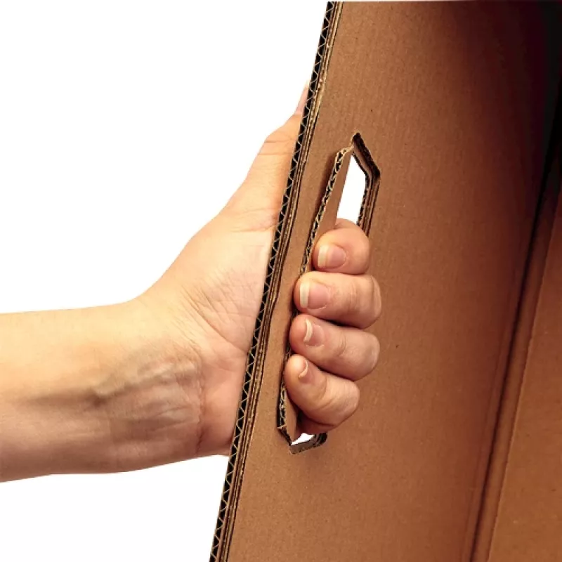 Fellowes 6203801 Uzglabāšanas kaste Taisnstūra Kartons Dabīgs