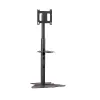 Chief PF1UB monitora statīvs / grīdas statīvs 190.5 cm (75 collas) Melns