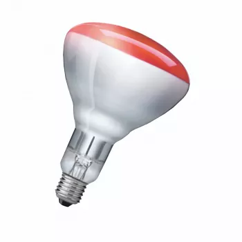 Infrasarkanā spuldze Philips 923212043801 250 W 5000 h 230-250 V