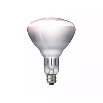 Infrasarkanā spuldze Philips 57522725 150 W 5000 h 230-250 V