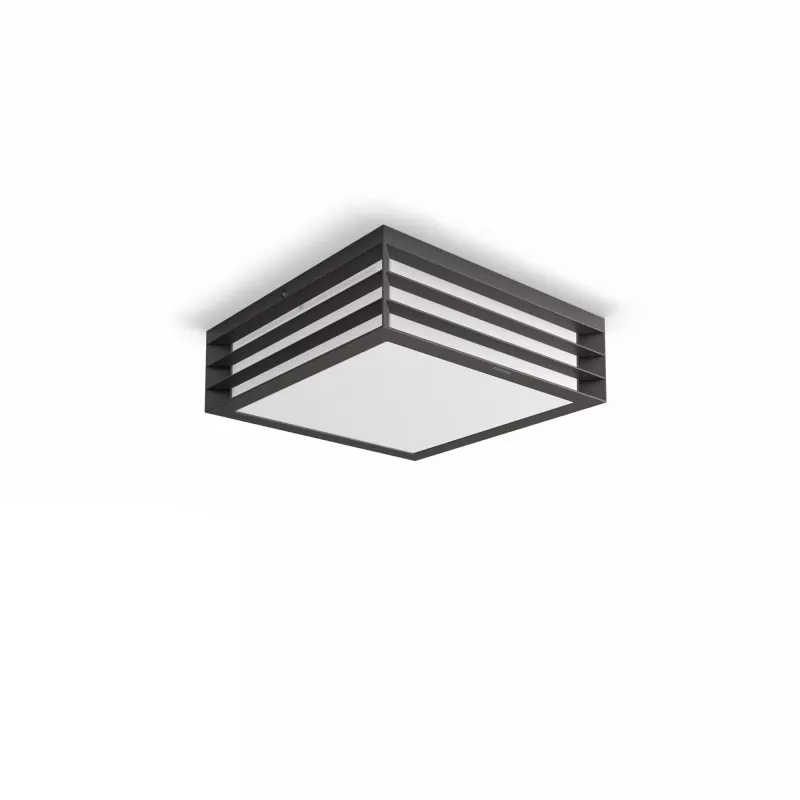 Philips myGarden Moonshine Griestu Lampas 28W E27 Bez spuldzes, Āra sienas apgaismojums, Antracīts, Alumīnijs, Sintētika, IP44, Dārzs, Terase, II