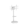 TECHLY grīdas statīvs ar ratiņu plauktu LCD/LED/Plasma TV 37collu-86collu Balts