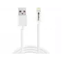 SANDBERG 440-94 SANDBERG kabelis USB>Lightning 2M AppleApproved