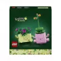 LEGO Botanicals Šūpojošie Augi 11506