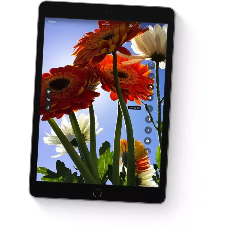 Planšetdators Apple iPad 10.2 inch (25,9 cm) 256 GB Wi‑Fi (802.11ac) A13, iPadOS 15, Pelēks, 8 MP/12 MP