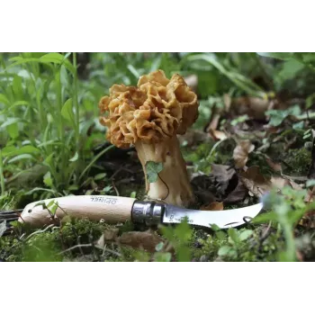 Kabatas nazis Opinel