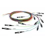Telegärtner InfiniBand/optiskais kabelis 2 m 12x LC daudzkrāsains