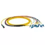 Optiskās šķiedras kabelis EFB Elektronik MTPF12LCOS2-10 10 m