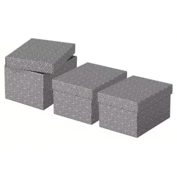 Uzglabāšanas kaste Esselte 628281 Pelēka Taisnstūra 200x255x150 mm