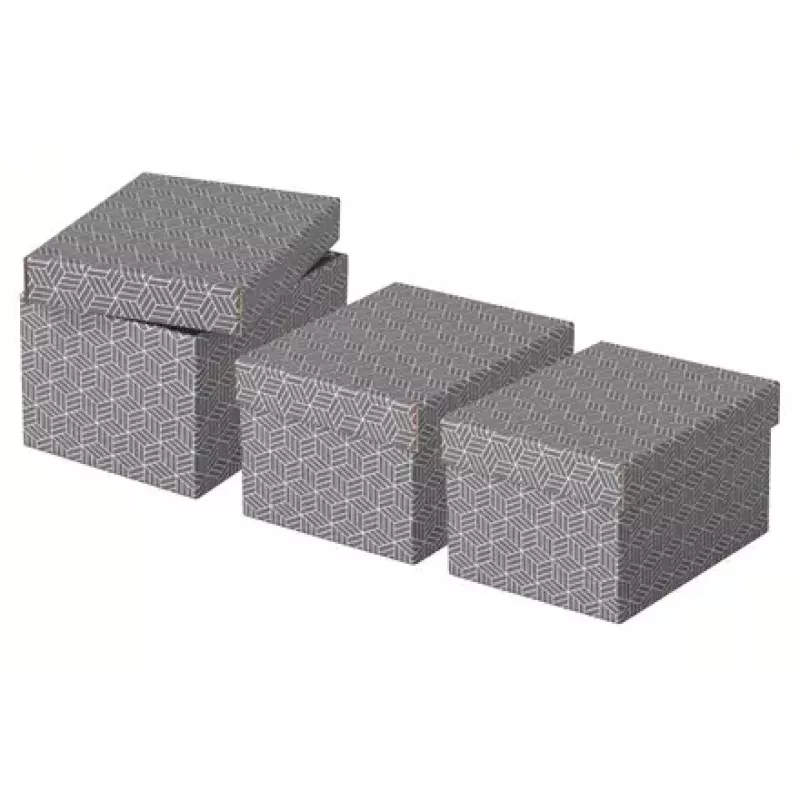 Uzglabāšanas kaste Esselte 628281 Pelēka Taisnstūra 200x255x150 mm