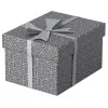Uzglabāšanas kaste Esselte 628281 Pelēka Taisnstūra 200x255x150 mm