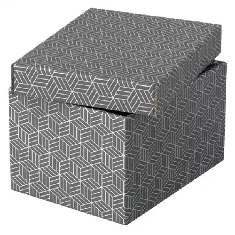 Uzglabāšanas kaste Esselte 628281 Pelēka Taisnstūra 200x255x150 mm