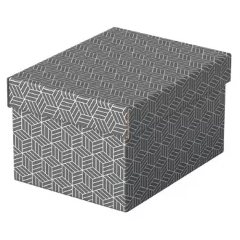 Uzglabāšanas kaste Esselte 628281 Pelēka Taisnstūra 200x255x150 mm