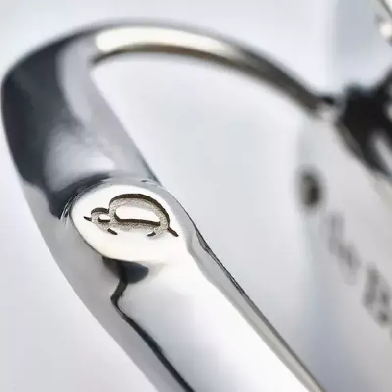 De Buyer Affinity katls ar vāku, 28 cm, nerūsējošais tērauds