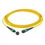 Šķiedru optikas kabelis EFB Elektronik MTPF36MTPFOS2-10-A MTP OS2 10 m Dzeltens
