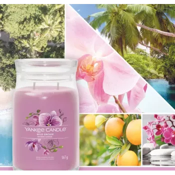 Vaska svece Yankee Candle Wild Orchid 157 mm x 93 mm