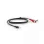 Audio kabelis Kramer Electronics C-A35M/2RAM-25 7.6 m 3.5 mm 2 x RCA melns