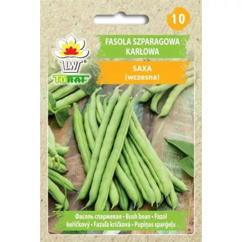 Toraf zaļās krūmu pupiņas 'Ferrari' (Phaseolus vulgaris) sēklas, 30 g