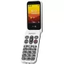 Mobilais telefons Doro Leva L31 2.8 collu