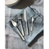 Virtuves galda piederumu komplekts ALESSI BG02S24 — galda nazis un dakša, nerūsējošais tērauds
