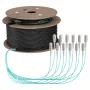 EFB Trunk Cable U-DQ(ZN)BH OM3 12G (1x12) SC-SC 90m Dca LSZH