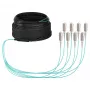 EFB Trunk Cable U-DQ(ZN)BH OM3 8G (1x8) SC-SC 40m Dca LSZH