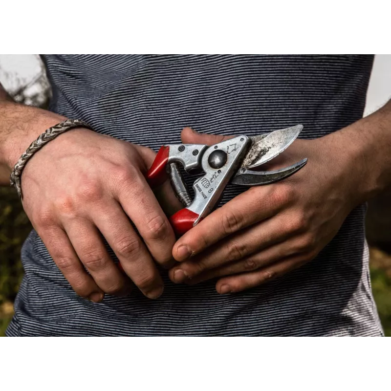 Atzarošanas šķēres Felco FELCO-8_FEL