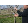 Atzarošanas šķēres Felco FELCO-8_FEL
