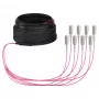 EFB Trunk kabelis U-DQ(ZN)BH OM4 8G (1x8) SC-SC 10m Dca LSZH