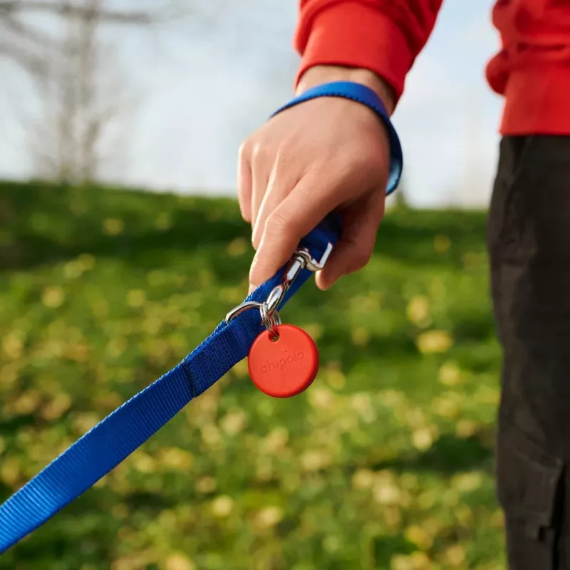 Tracker POP Chipolo Sarkans