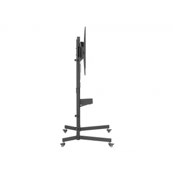 Equip ekonomisks TV ratiņš 55-100 collām, 2.54 m, 100x100-800x600 mm, -10-5°, melns