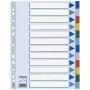 Esselte Dalītājs PP A4 12 cilnes, Tukšs cilnes indekss, Polivinilhlorīds (PVC), Daudzkrāsains, A4, 2, 4, 6, 225 mm