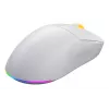 HATOR Quasar 3 Wireless peles Gaming ambidextrous RF Bezvadu + Bluetooth + USB Type-A optiskā 12000 DPI