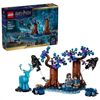 LEGO Harijs Poters 76475 Aizliegtā Meža: Expecto Patronum (244 gab.)