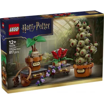 LEGO Harry Potter 76474 Cūkkārpas Zāļmācības augi (817 gab.)