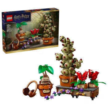 LEGO Harry Potter 76474 Cūkkārpas Zāļmācības augi (817 gab.)
