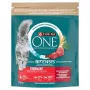 Purina ONE Sterilcat Dry Cat Food Beef & Wheat 750g