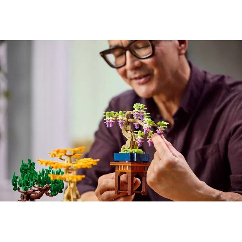 LEGO 10373 Botanical Collection Small Bonsai Trees