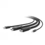 Belkin Secure KVM Combo kabelis - tastatūrai/videopelei/skaņai - TAA atbilstošs - USB, Mini savienotājs, DisplayPort (vīrišķais) - 3 m