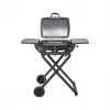 TEESA BBQ 1000 1-Burner Gas Barbecue, Portable, Black