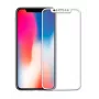 EVELATUS Apple iPhone X 2.5D Full Cover Japan Glue Glass Anti-Static Screen Protector
