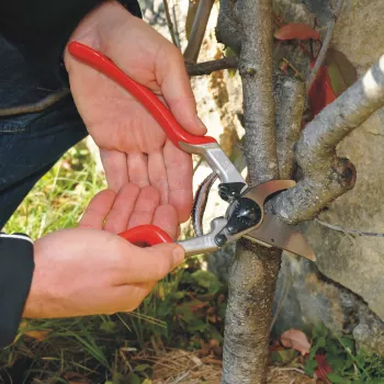 Felco 13 Classic vienas rokas griezējšķēres - Bypass, 30mm griešanas diametrs, kalti alumīnija rokturi