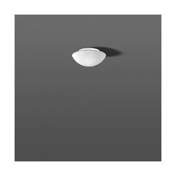 RZB 211005.002 Opālstikla lampa 60W IP43 matēts zīds D=250mm