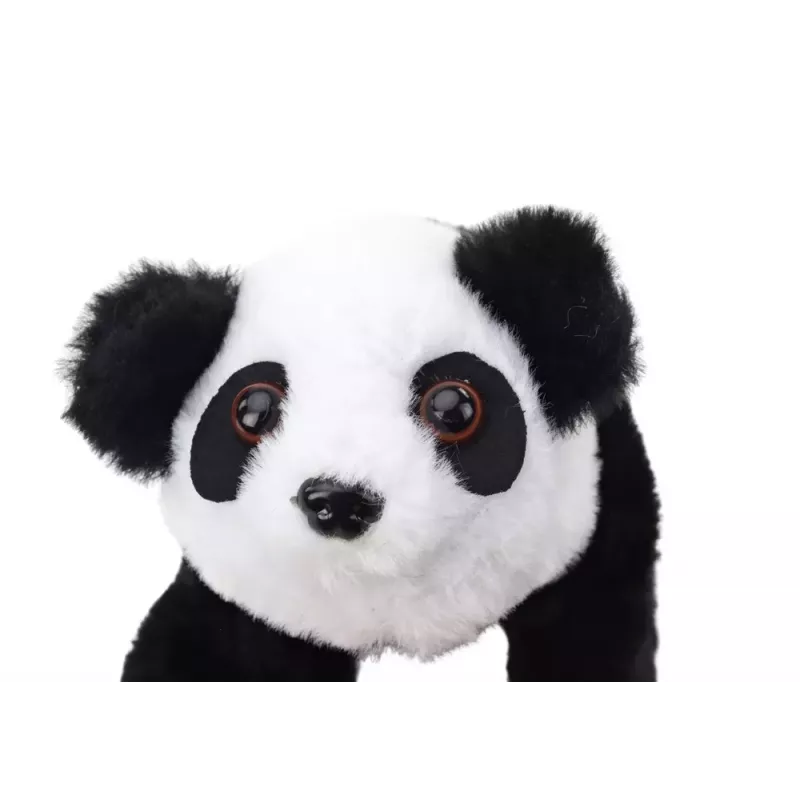 LEAN TOYS Interactive Plush Panda In Pink Blue Transporter