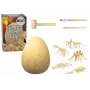 LEAN TOYS Archaeology Set Dinosaur Egg Fossils