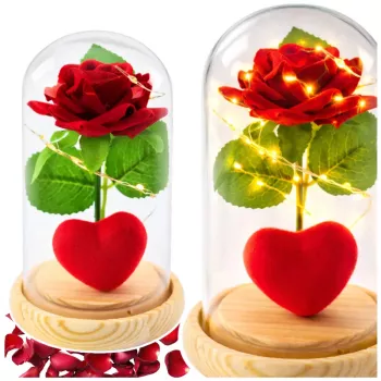 LEAN Eternal Rose in Dome with LED Lighting Red with Heart 14x8cm