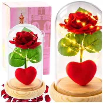 LEAN Eternal Rose in Dome with LED Lighting Red with Heart 14x8cm