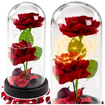 LEAN Eternal 2 Roses in Dome ar LED apgaismojumu un rožu ziedlapiņām sarkana 21x11cm