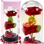 LEAN Eternal 2 Roses in Dome ar LED apgaismojumu un rožu ziedlapiņām sarkana 21x11cm